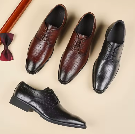 Oxford Elegance Couro